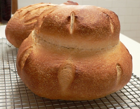 A sweet spring bread boule, courtesy of @cottageloaves. Tips +